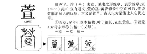 若萱 名字|若萱名字解释和寓意